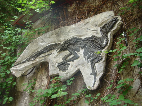 dsc04993.jpg dsc04993.jpg